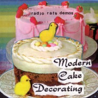 Modern Cake Decorating